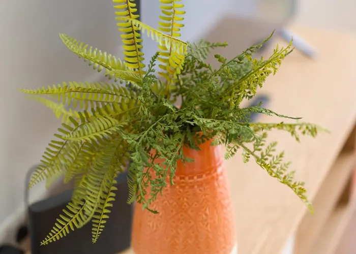 Homeforguest Estudio Brisa Canteras Con Terraza 아파트